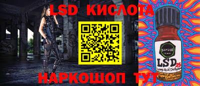 прущие грибы Комсомольск-на-Амуре