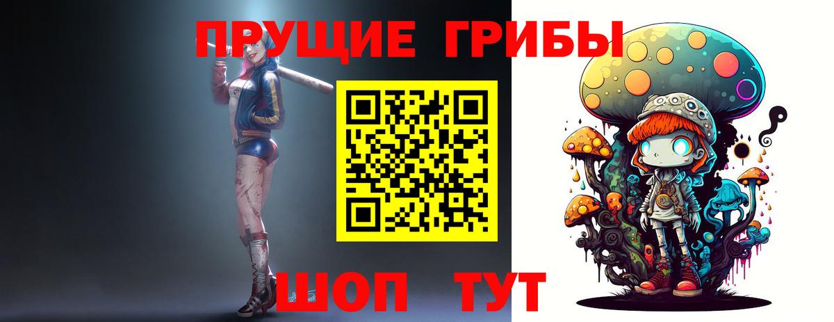 Галлюциногенные грибы Psilocybe  Вход с VPN  Глазов 